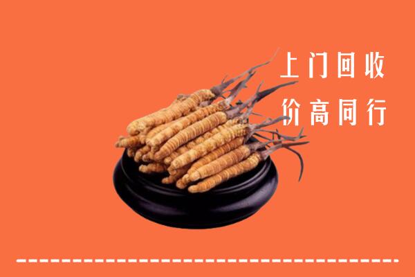 高价求购：漳浦县回收散虫草