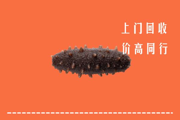 高价求购：漳浦县回收海参
