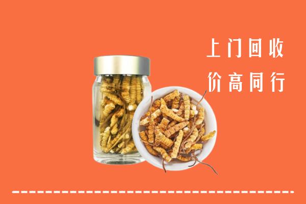 收购行情：漳浦县回收冬虫夏草